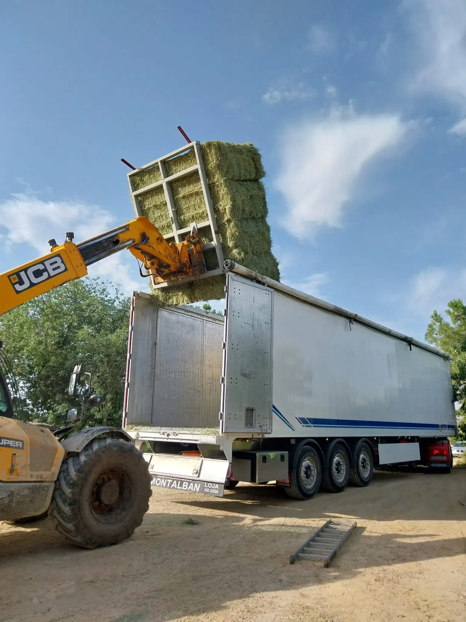Verladung von Heuballen für den Export nach Deutschland und in die EU
