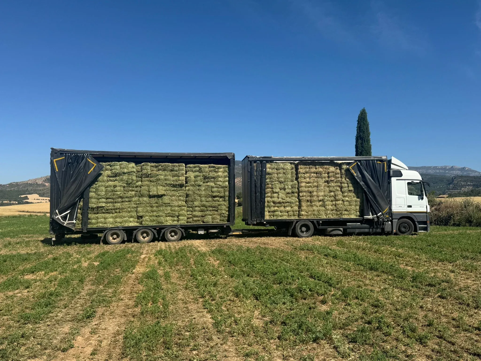 Premium-Heuballen auf dem Feld