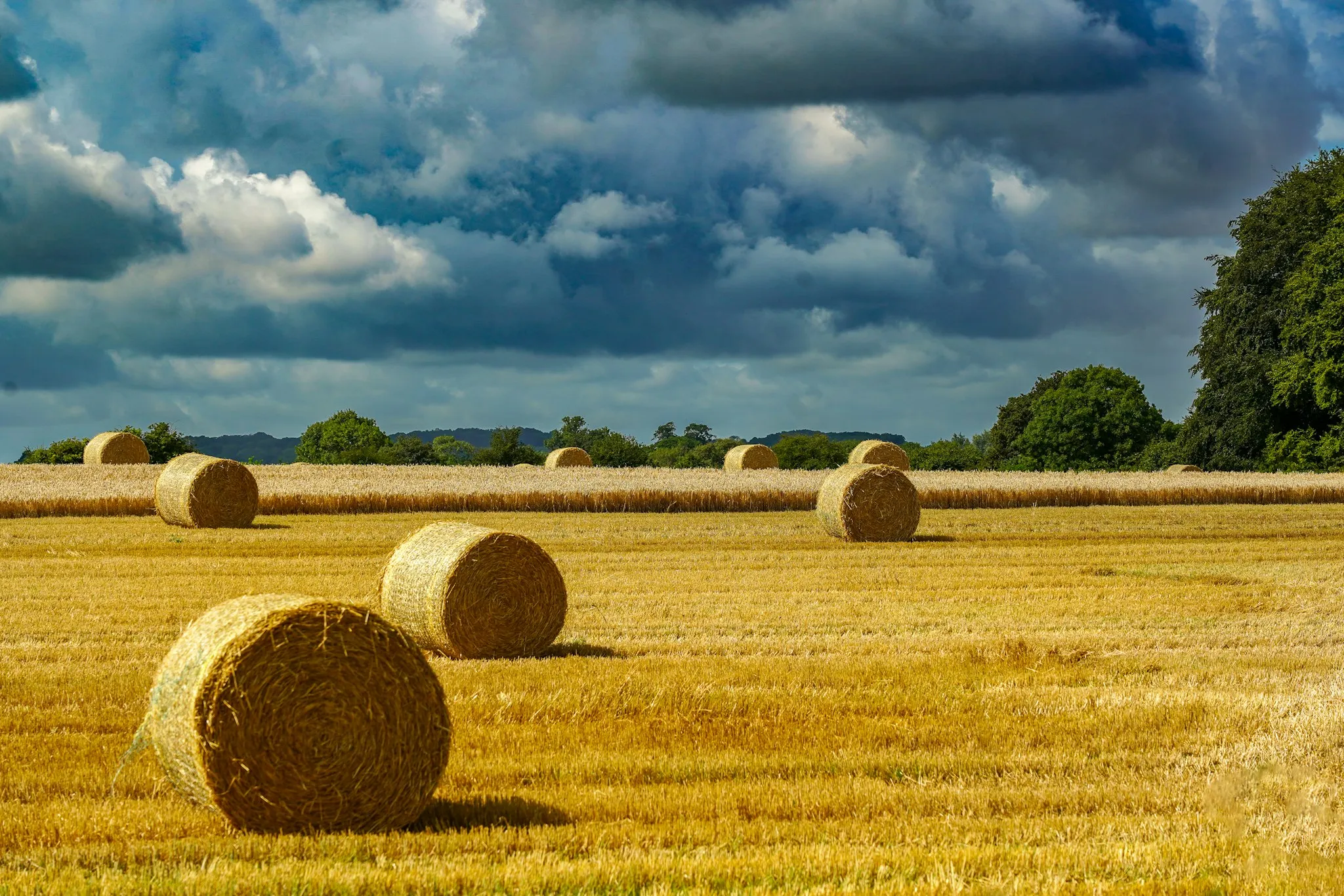 Goldene Strohballen auf dem Feld