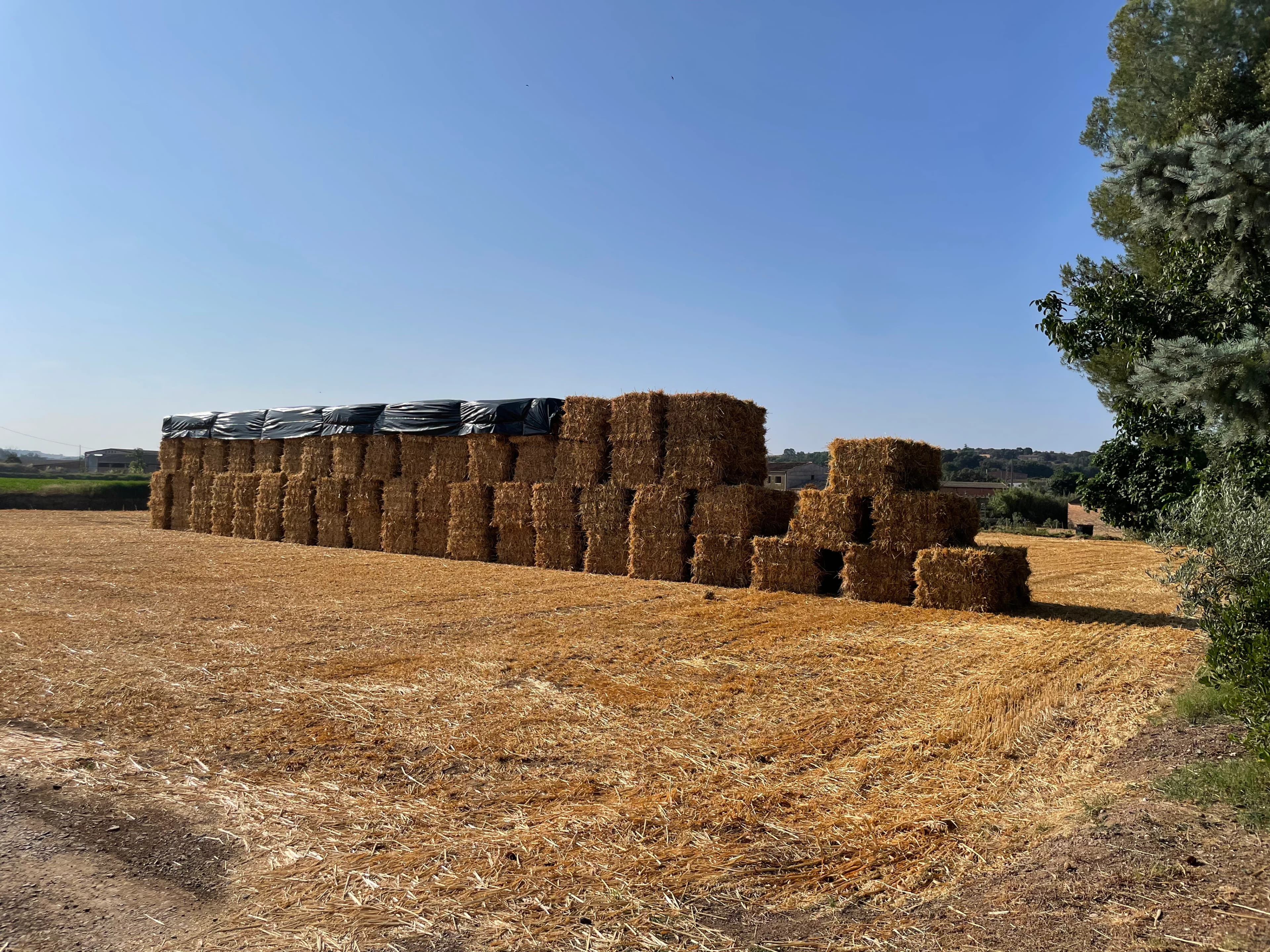 Timely distribution system