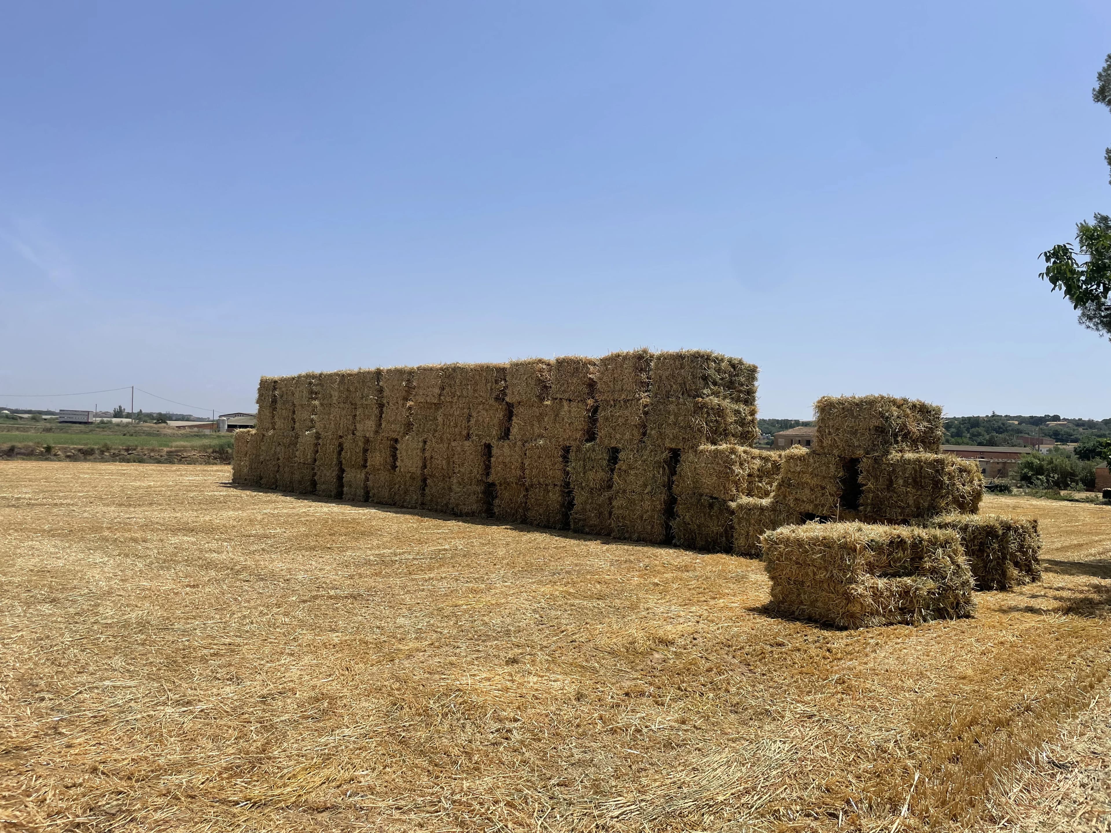 Organized hay bale delivery system