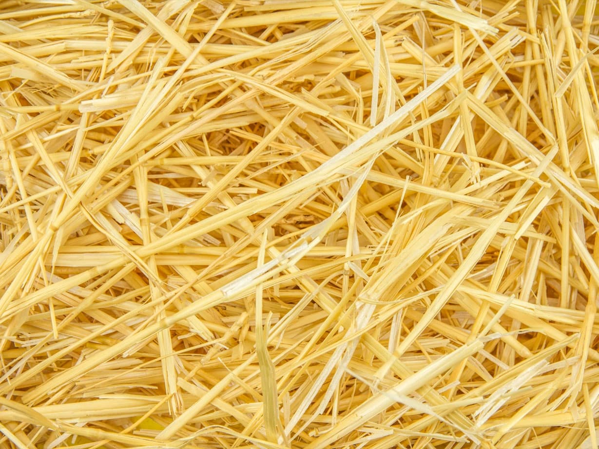 Premium Barley Straw