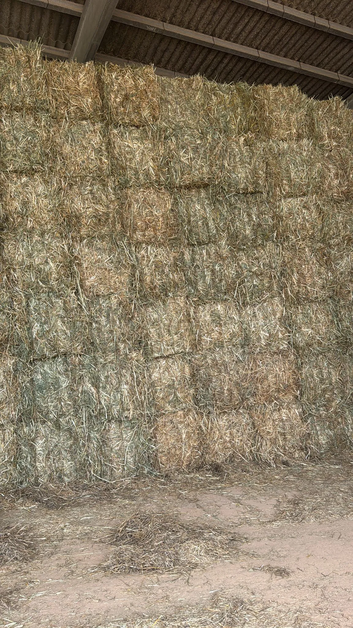 Alfalfa - 11de2b9f dcdb 42bb b5d2 6a5c16cb98ee